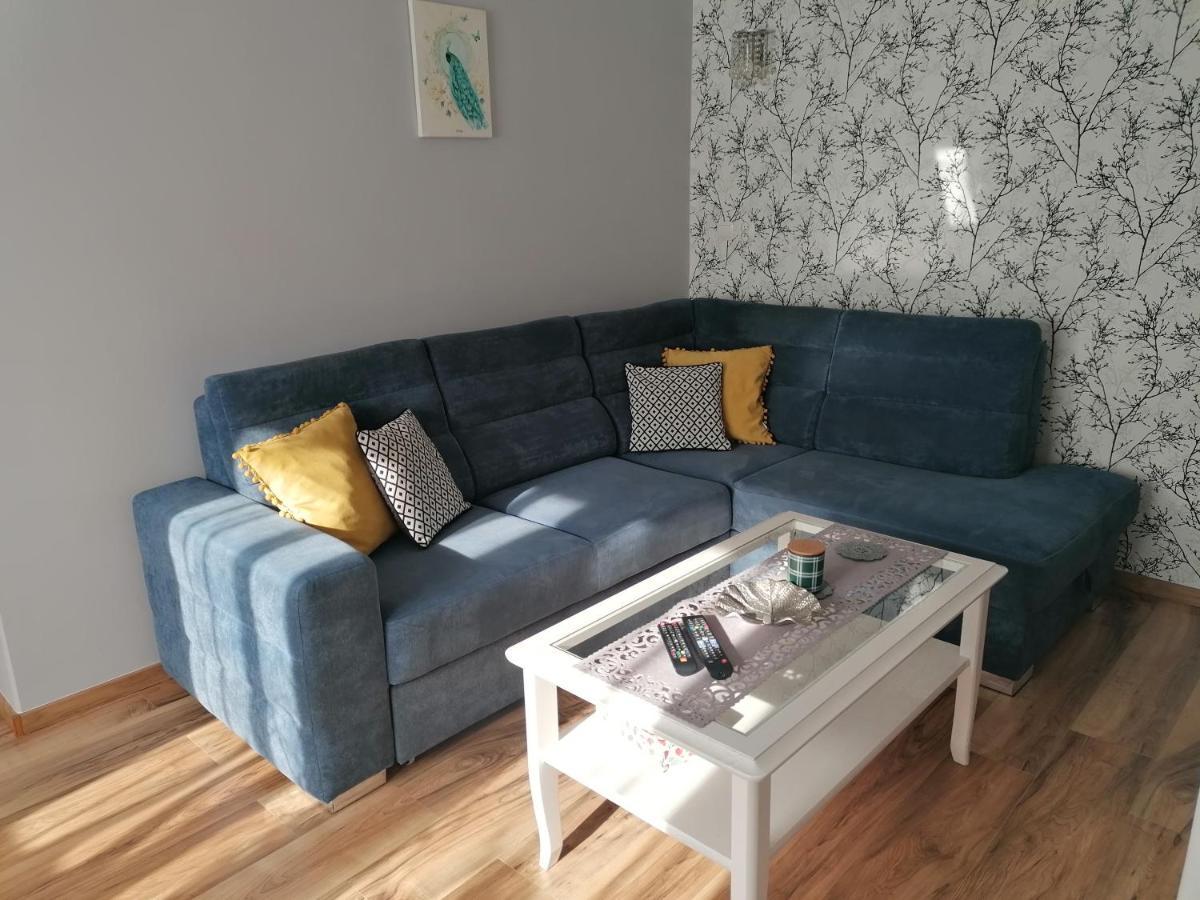 Apartament Kot I Pies Мендзыздрое Экстерьер фото