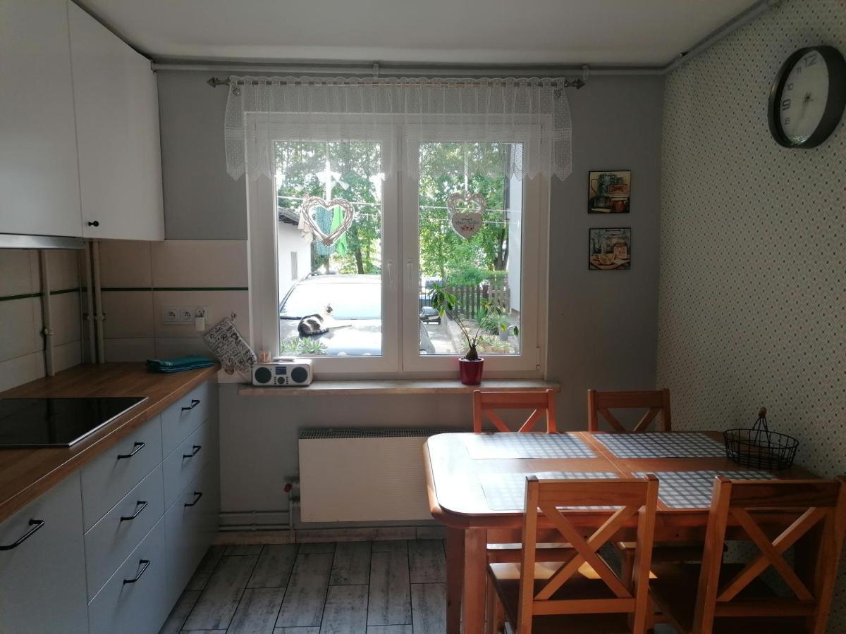 Apartament Kot I Pies Мендзыздрое Экстерьер фото
